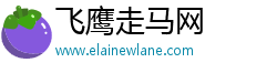 飞鹰走马网